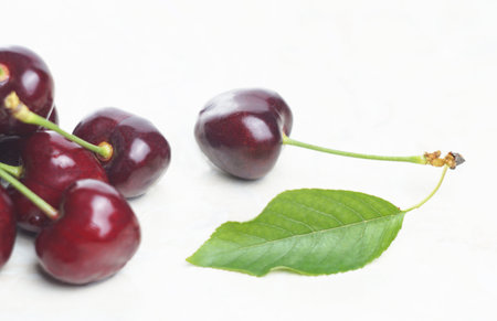There is a red fruit on a cherry branch on a white backgroundの写真素材