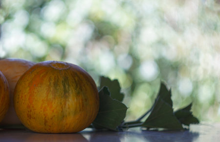 There are round melons on the tableの写真素材