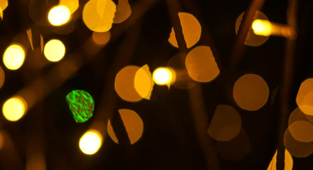 Photo of holiday lights lit in different colorsの写真素材