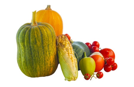There are pumpkins and various vegetables on a white backgroundの写真素材