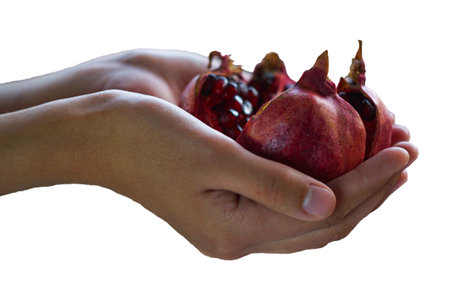 Girl holding a red pomegranate on a white backgroundの写真素材