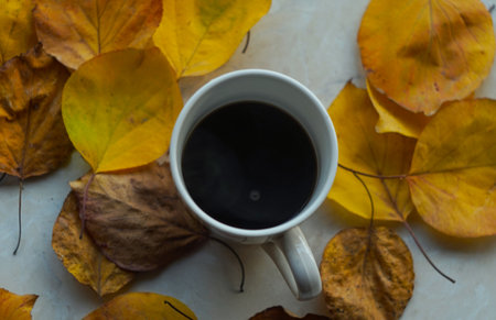 Hot coffee among the yellow leaves lying on the groundの写真素材