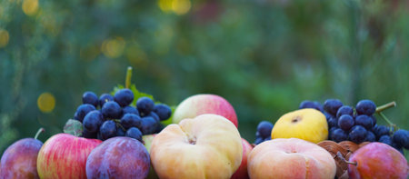 In the lap of nature, various fruits, summer fruits, picked on a board