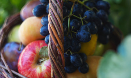 There are various summer fruits in a basket under the tree.