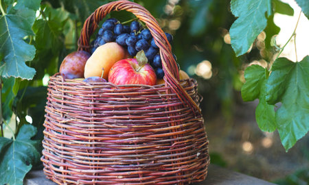 There are various summer fruits in a basket under the tree