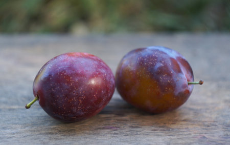 In nature, a cut and whole plum stands on a boardの写真素材