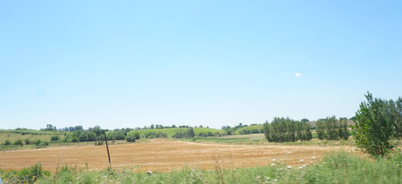 In the distance, behind the wheat field, mountains and a blue sky are visible.