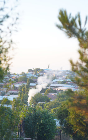 Smoke rises from the roofs of distant houses behind tree branches.