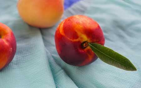 Smooth peaches are piled on a cotton clothの写真素材