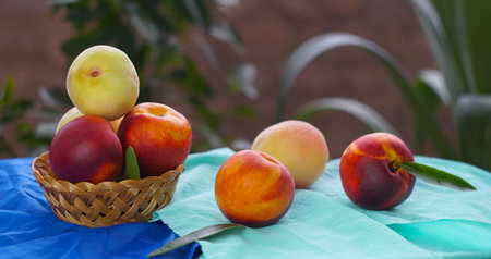 Smooth peaches in a basket on a blue tablecloth on the tableの写真素材