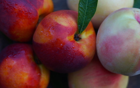 Water drops on smooth, hairless peaches piled on a board