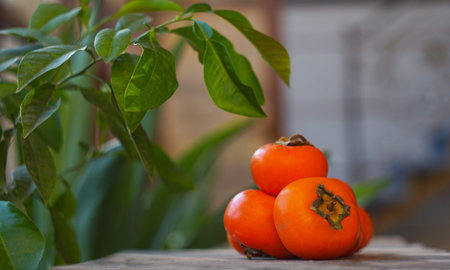 A cluster of ripe persimmons (Japanese persimmon or Kaki variety) neatly stacked on a wooden stand or boardの写真素材