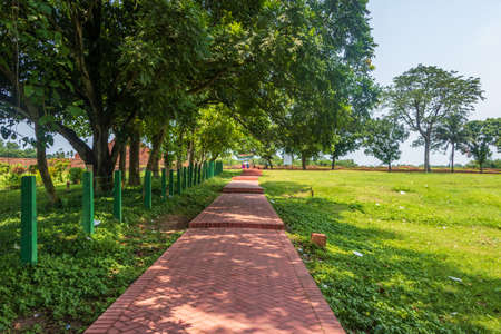 A Walkway made of bricks, covered with trees on one side and a green field on the other sideの写真素材