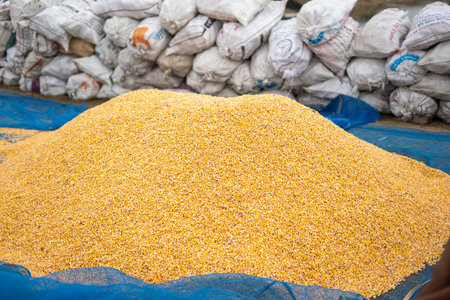 The bright orange corn kernels are simply stunning