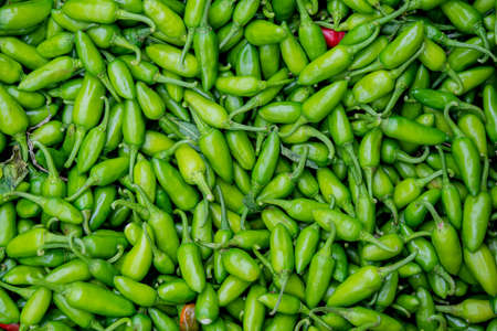 spices: A bunch of spicy green hot chili peppers isolated over white backgroundの写真素材
