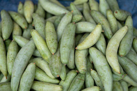 These are raw pointed gourd. Potol vegetable is a vine plantの写真素材