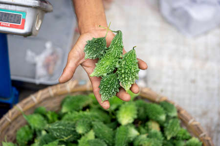 holding Corolla vegetablesの写真素材