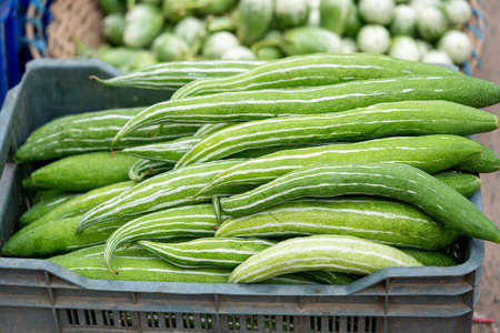 Cucumber round and long, in marketの写真素材