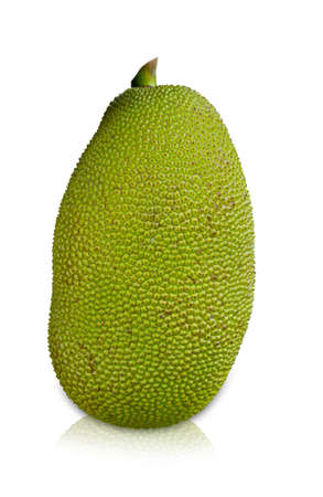 young jack fruits on white background