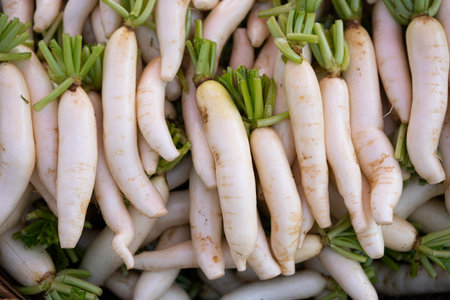 fresh radishes and vegetables on fresh marketの写真素材