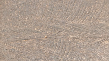Old wood textureuse as background. Close up image.
