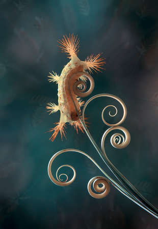 This caterpillar is very beautiful with beautiful feathers and very attractive colors. But behind her beauty she saves a little danger because her fur contains poison which when exposed to the skin.の写真素材