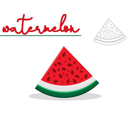 Isolated watermelon on a white background with text. Vector illustrationのイラスト素材