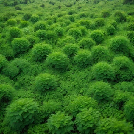 Nettles growing in the field, closeup of photo.の素材