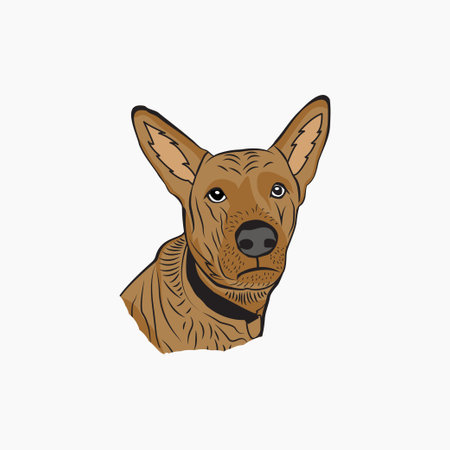 Cute doberman dog head. Vector illustration isolated on white background.のイラスト素材