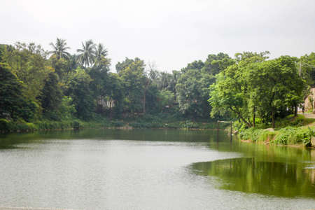 A view of a lake surrounded by coconut trees in a park.
