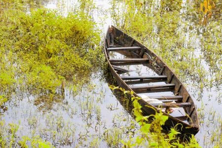 Abandoned wooden boat in the swamp, view from above.