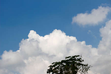 Blue sky with white clouds and tree. Nature background and texture.の写真素材