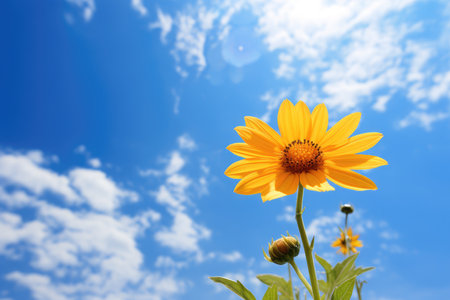 Natures Beauty Yellow Blossom and Azure Sky.の素材