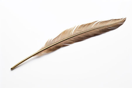 Graceful Glamour Unaltered Feather Hairpin Image Isolated On White Backgroundの素材