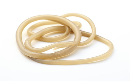 Ecosystem Harmony Embracing the Role of Roundworms and Nematodes Isolated On White Backgroundの素材