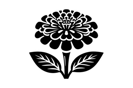 Zinnia flower icon on white background. Vector Illustration.のイラスト素材