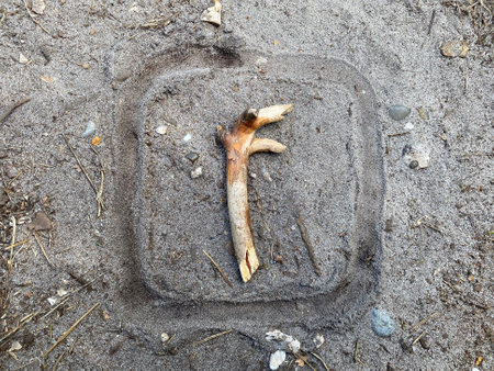 F shaped stick with a box drawn around it in the soil.