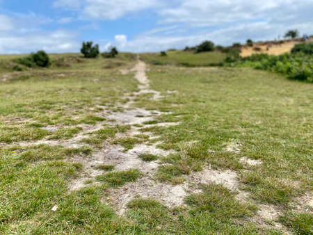 Long path across open countryside, disappearing into the far distance.の写真素材