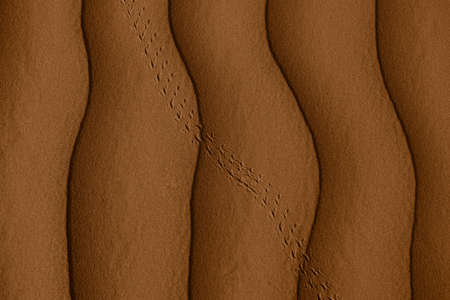 desert curvesの写真素材