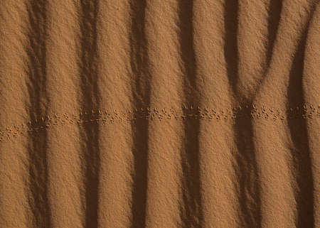 Desert curvesの写真素材