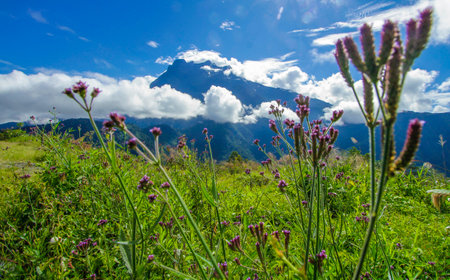SABAH, MALAYSIA - MAY 19, 2011: Mount Kinabalu.のeditorial素材