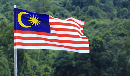 Malaysia Flag, Jalur Gemilang waving with the background of Malaysian rainforest trees.