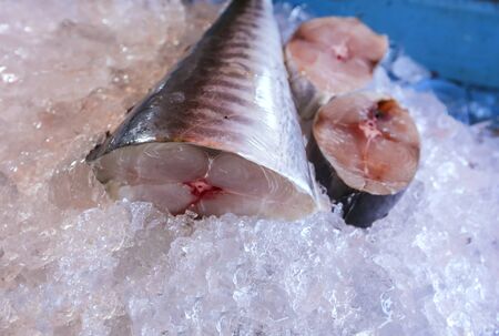 Fresh King Mackerel fish on display at market.の写真素材