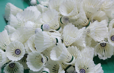 shuttlecock in badminton courts