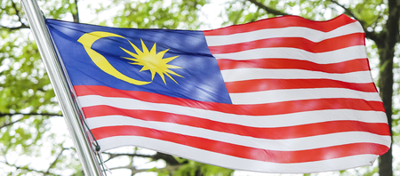 Malaysia Flag also known as Jalur Gemilang waving with the background of Malaysian rainforest trees....