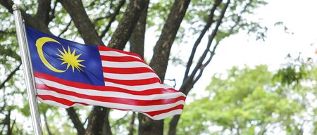 Malaysia Flag also known as Jalur Gemilang waving with the background of Malaysian rainforest trees. In conjunction of Independence Day celebration or Merdeka Day.の写真素材