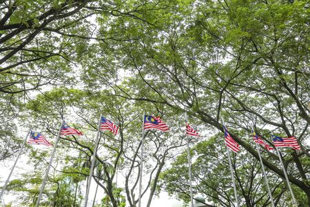 Malaysia Flag also known as Jalur Gemilang waving with the background of Malaysian rainforest trees. In conjunction of Independence Day celebration or Merdeka Day.の写真素材
