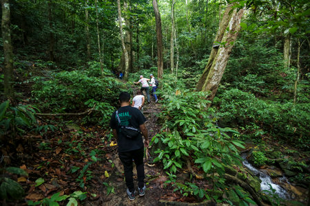 PERAK, MALAYSIA - JULY 11, 2018 : Tourist enjoying discover peace nature environment of 130 million years old Royal Belum Rainforest Park acrossing the Temengor Lake at Pulau Banding, Perak.のeditorial素材
