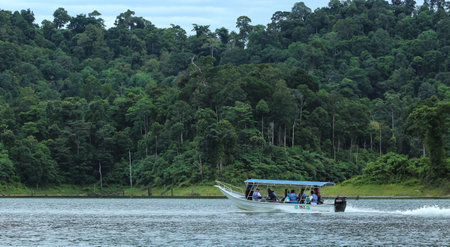 PERAK, MALAYSIA - JULY 10, 2018 : Tourist enjoying a boat ride to discover peace environment of 130 million years old Royal Belum Rainforest Park acrossing the Temengor Lake at Pulau Banding, Perak.のeditorial素材