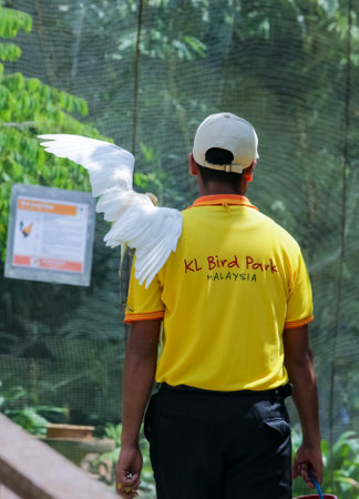 KUALA LUMPUR, MALAYSIA - SEPTEMBER 2017: KL Bird Park, one of popular tourist attractions. It is home to more than 3,000 local and foreign birds of approximately 200 different species.のeditorial素材